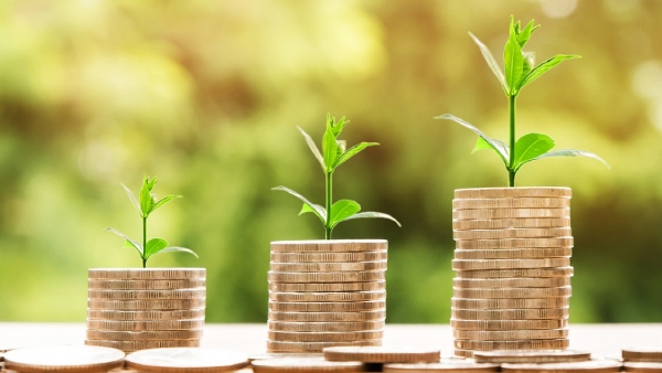 Leveraging the Bajaj FD Calculator for Higher Yields