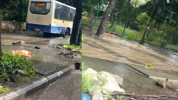 Yellow Alert In Bengaluru Heavy Rains Leave Koramangala ORR In Turmoil Tree Blocks Road Streets Flooded
