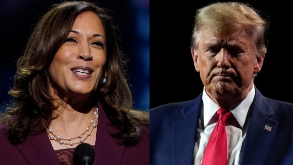 2024 US Election Showdown