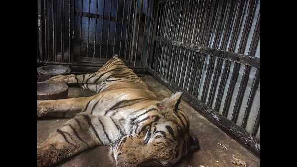 Teen Battles Kidney Failure After Eating Burgers