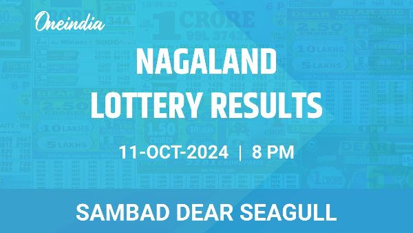 Results of the Nagaland State Lottery Dear Seagull for October 11 at 8 PM