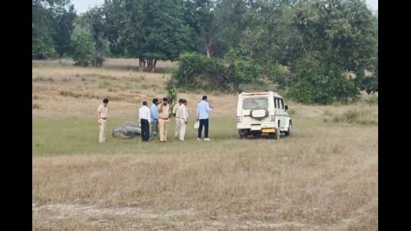 Officials Suspended After Death of 10 Elephants