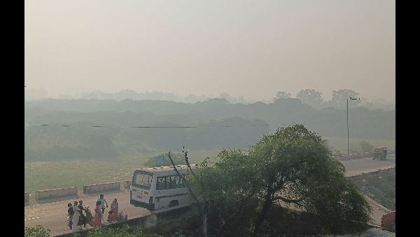 Cali Biodiversity Conference Ends Without Funding Deal