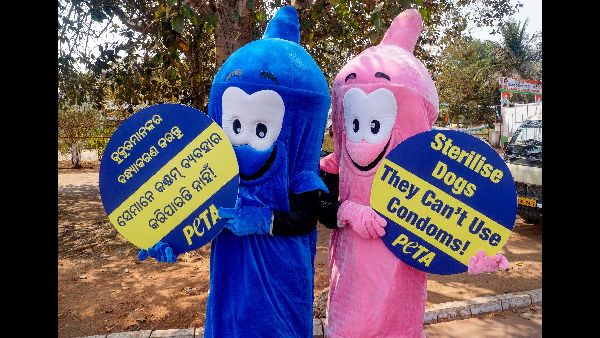 Increase in Birth Control and Abortion Pill Requests