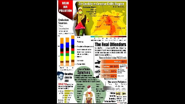 Delhi Air Pollution Urges Global Action at COP29