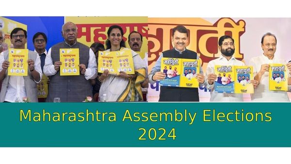 Maharashtra Assembly Elections 2024 Key Candidates And High Profile Contests