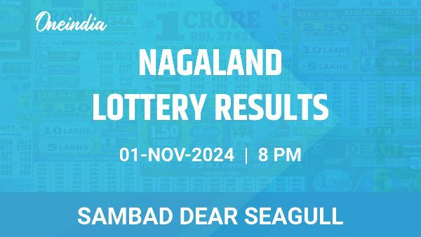 Results of the Nagaland State Lottery Dear Seagull for November 1 at 8 PM