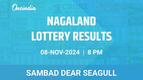Results of the Nagaland State Lottery Dear Seagull for November 8 at 8 PM
