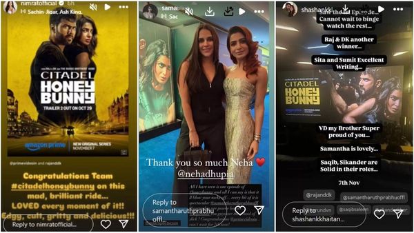 Citadel Honey Bunny First Review Is Here