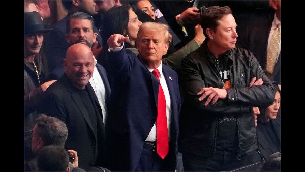 Trumps Return and Bestselling Books