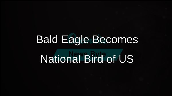 Bald Eagle Becomes National Bird of US