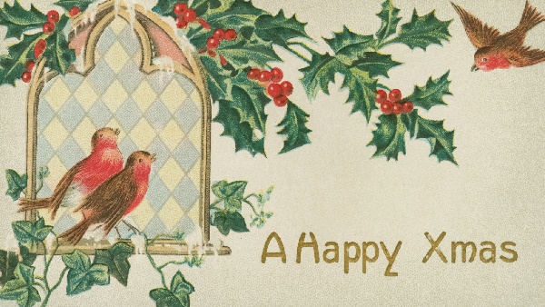 Best Christmas Wishes Quotes