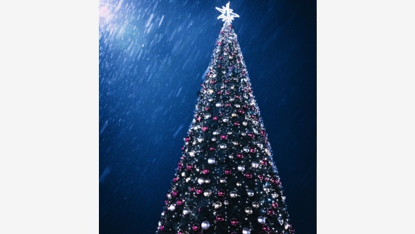 How The Christmas Tree Became The Heart