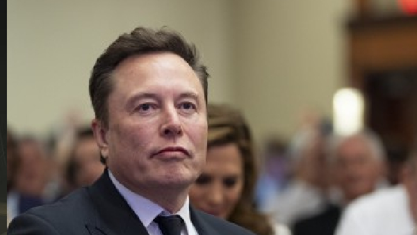 Elon Musk Backs Germany s AfD Bold Move Or Election Meddling