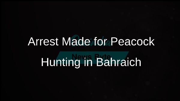 Arrest Made for Peacock Hunting in Bahraich
