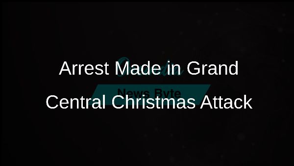 Arrest Made in Grand Central Christmas Attack