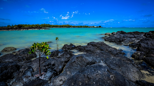Vibrant seascape featuring black lava rocks and clear blue waters in Mauritius
