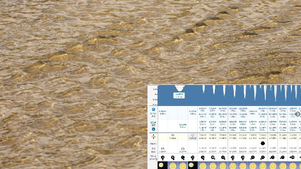 Mumbai Weather Forecast