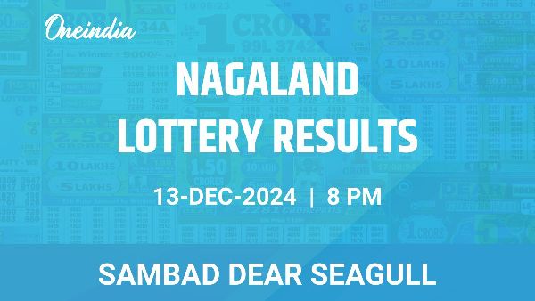 Results of the Nagaland State Lottery Dear Seagull for December 13 at 8 PM