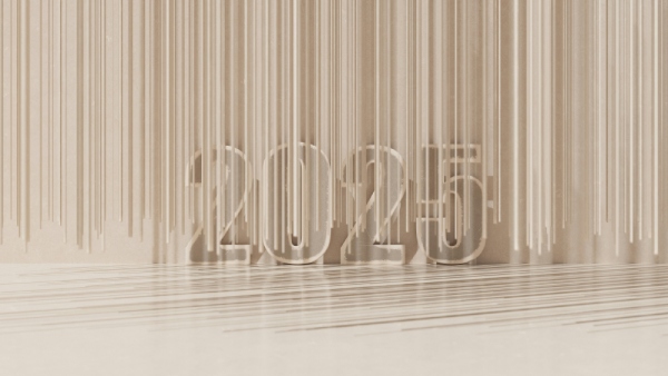 New Year Celebration Delhi Police Traffic