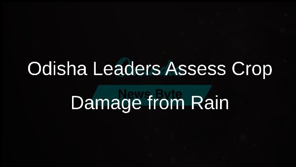 Odisha Leaders Assess Crop Damage from Rain