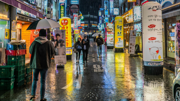 South Korea s Fertility Crisis