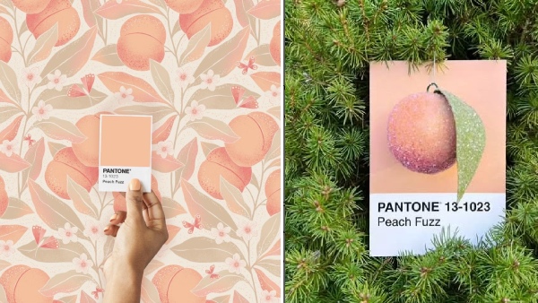 Pantone Colour Of The Year 2024