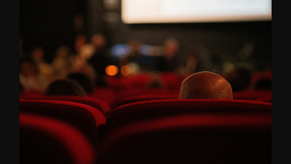 2024 Bollywood Box Office Recap