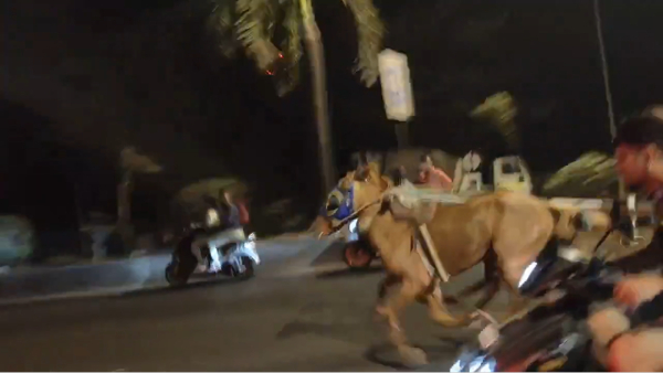 Watch Mumbai Viral Video