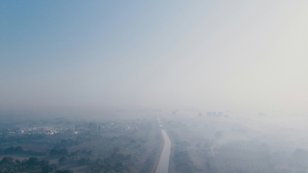 Fog And Rain Disrupt Train Services
