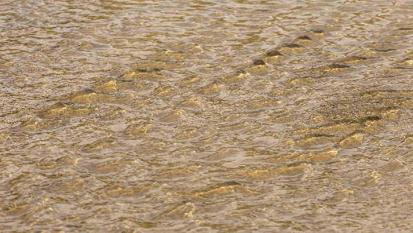 Mumbai Weather This Week Mumbai Weather This Week