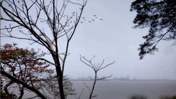 Mumbai s First Elevated Forest Walkway