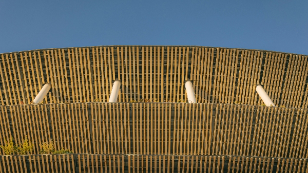 Rewind 2024 India s Sporting Triumphs