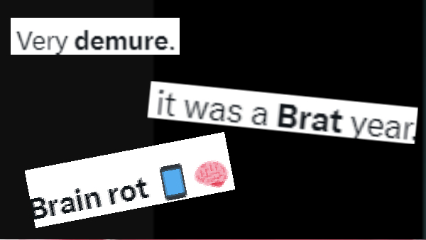 2024 s Most Talked-About Words