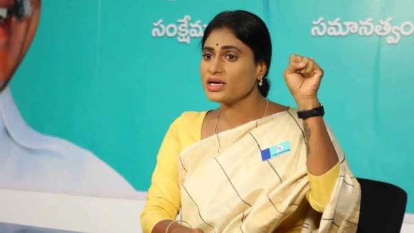 AP Congress Dire Straits