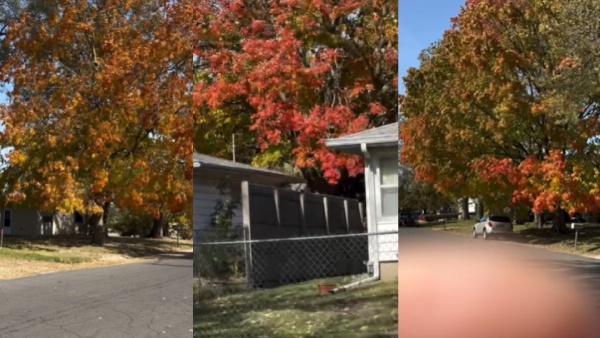 Zakir Hussain s Last Instagram Post