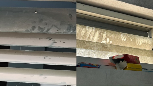 CMR College Girls Hostel Washroom CMR College Girls Hostel Washroom