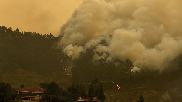 Los Angeles Wildfires Rage On Santa Ana Winds Intensify Destruction Death Toll Climbs Los Angeles Wildfires Rage On Santa Ana Winds Intensify Destruction Death Toll Climbs