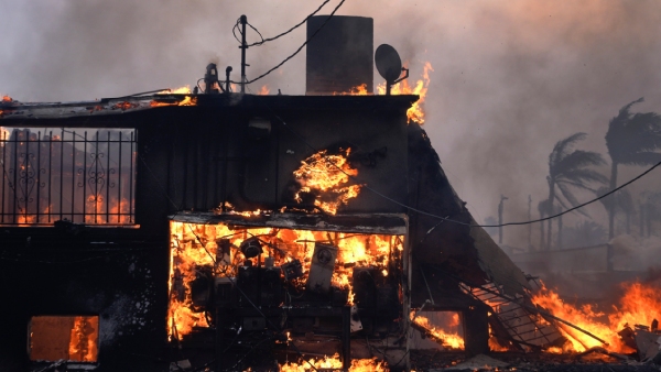 Los Angeles Wildfire