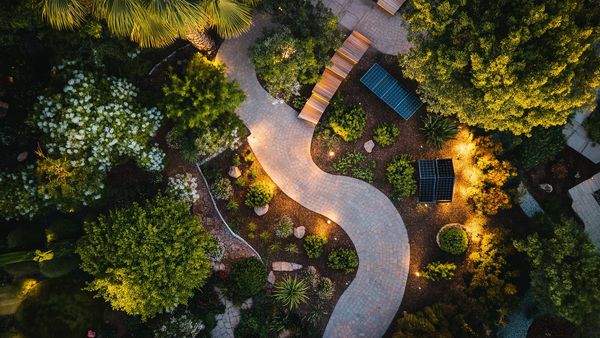 Creating a Sustainable Garden for Water Savings