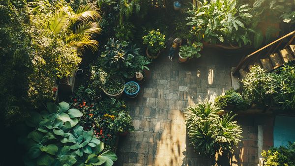 Gardening for Wellness Health Benefits of Plant Care Gardening for Wellness Health Benefits of Plant Care