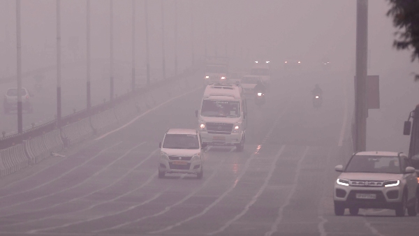 Noida Schools Shut For Classes 1-8 Amid Intense Cold And Fog Stay Updated