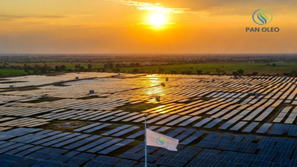 Pan Oleo Energy Limited Charts a Solar-Powered Future Progressing Beyond Biofuels in India