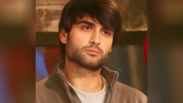 Bigg Boss 18 Vivian Dsena