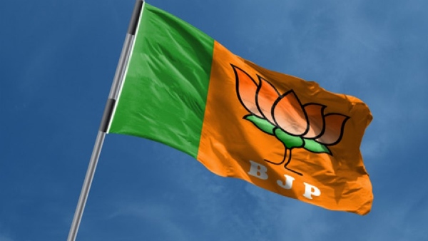 BJP Flags