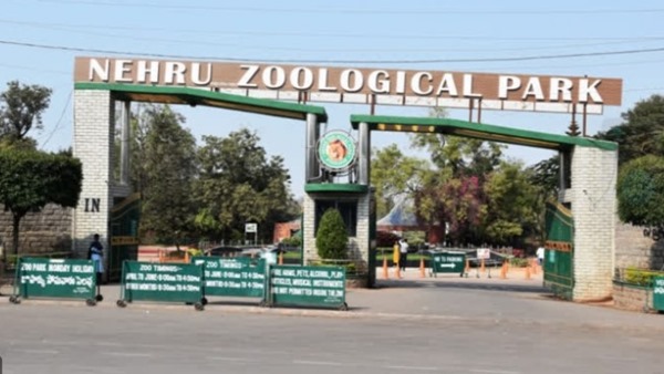 Hyderabad Zoo Ticket Prices Hiked From Entry To Rides Check New Rates At Nehru Zoological Park Hyderabad Zoo Ticket Prices Hiked From Entry To Rides Check New Rates At Nehru Zoological Park
