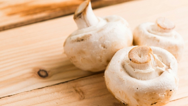 Struggling With Grief ChatGPT Recommend