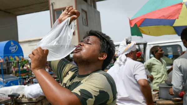 Is Your Idli Safe Plastic Use in Bengaluru Hotels Sparks Karnataka Govt Ban
