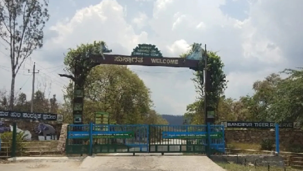 Bengaluru Family Mysteriously Goes Missing from Bandipur Resort