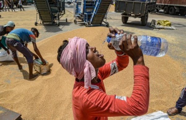 India Is Likely Underreporting Heat-Related Deaths Says Former Who Chief Scientist Soumya Swaminathan India Is Likely Underreporting Heat-Related Deaths Says Former Who Chief Scientist Soumya Swaminathan